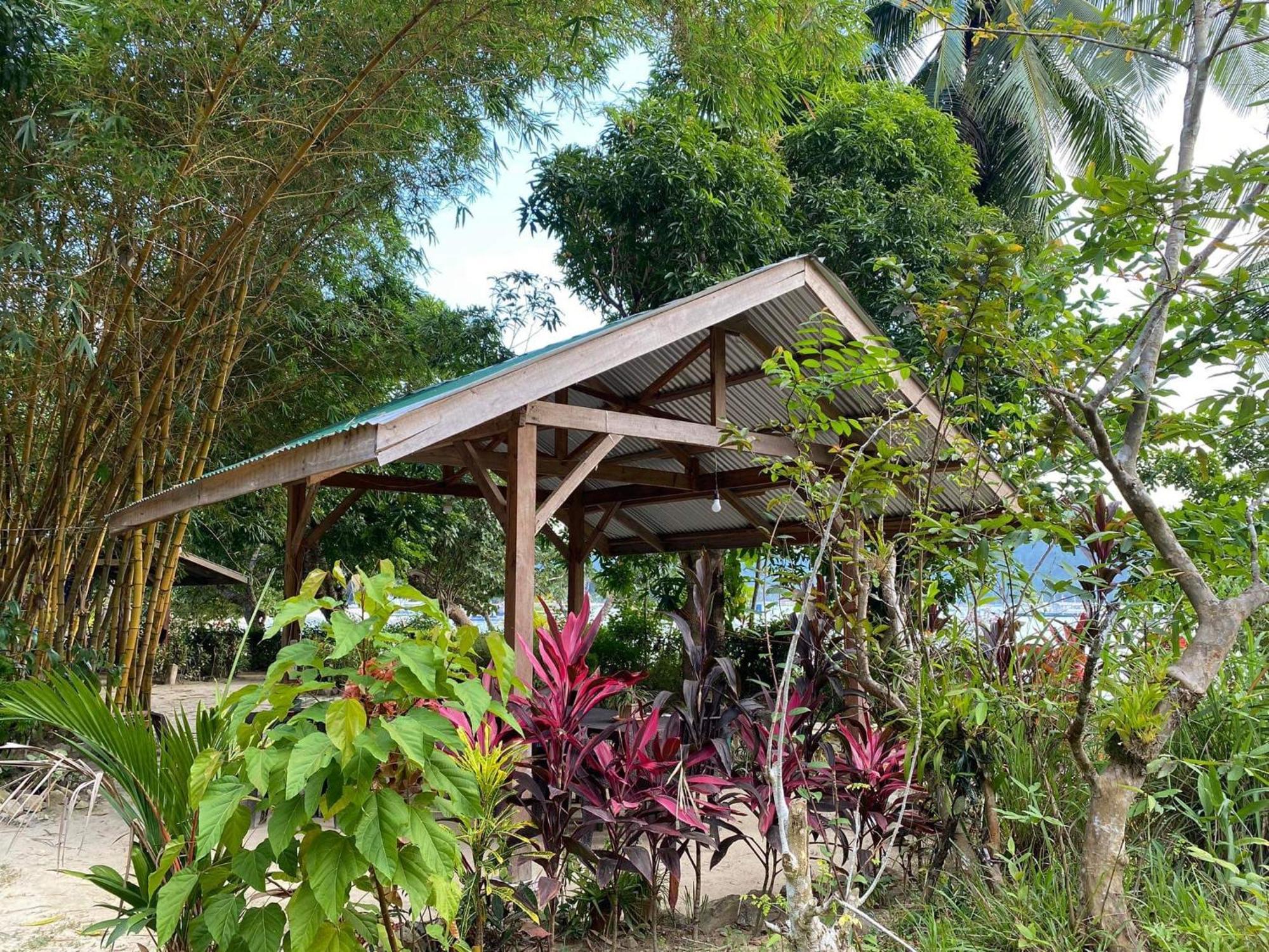Port Barton - Paradiso Azul Campsite Beachfront With Internet San Vicente  Eksteriør billede