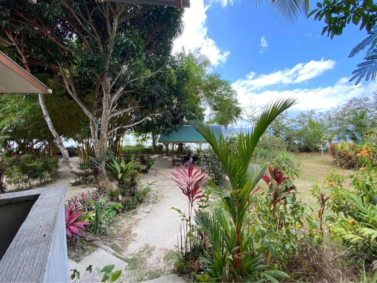 Port Barton - Paradiso Azul Campsite Beachfront With Internet San Vicente  Eksteriør billede