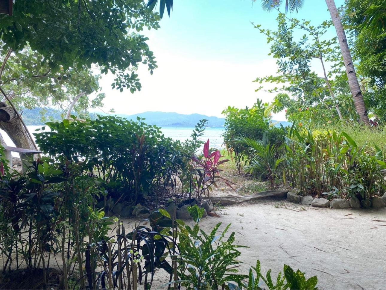 Port Barton - Paradiso Azul Campsite Beachfront With Internet San Vicente  Eksteriør billede