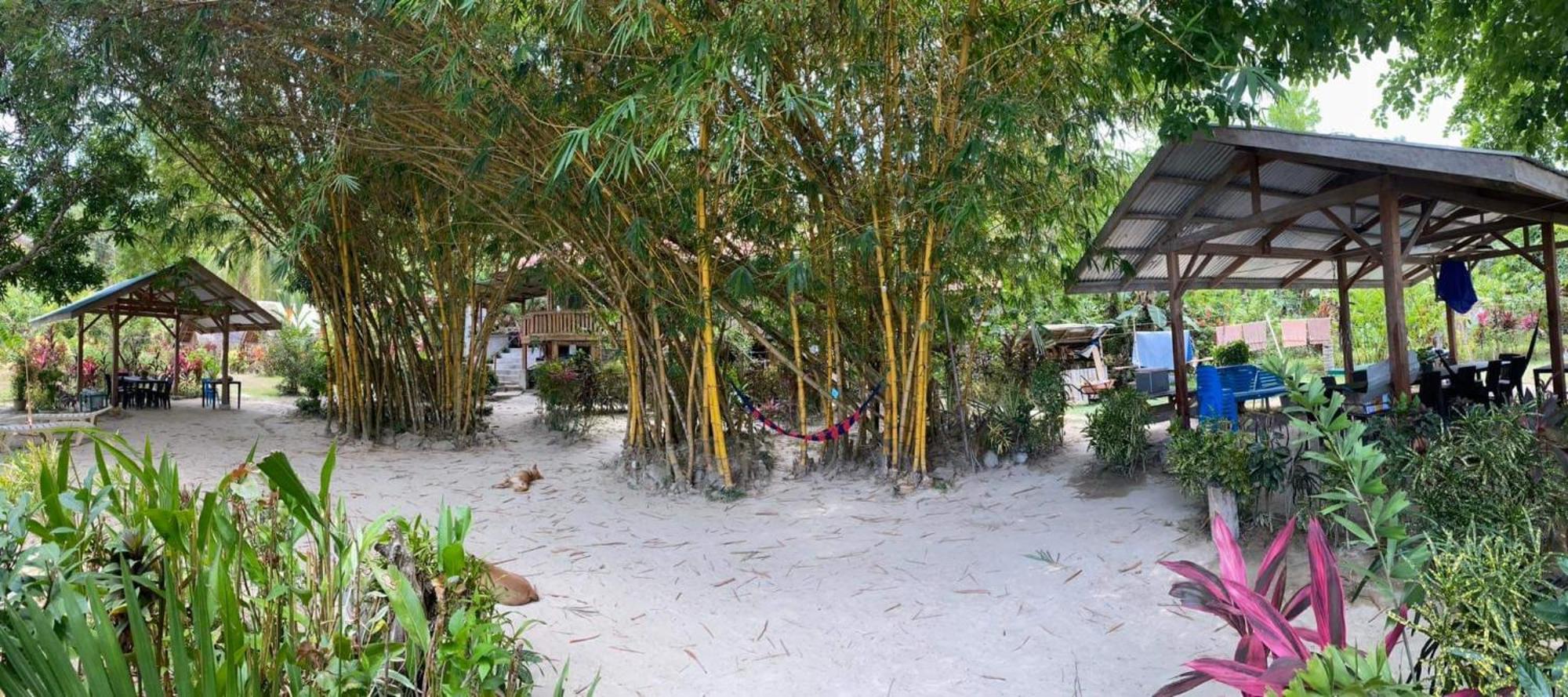 Port Barton - Paradiso Azul Campsite Beachfront With Internet San Vicente  Eksteriør billede