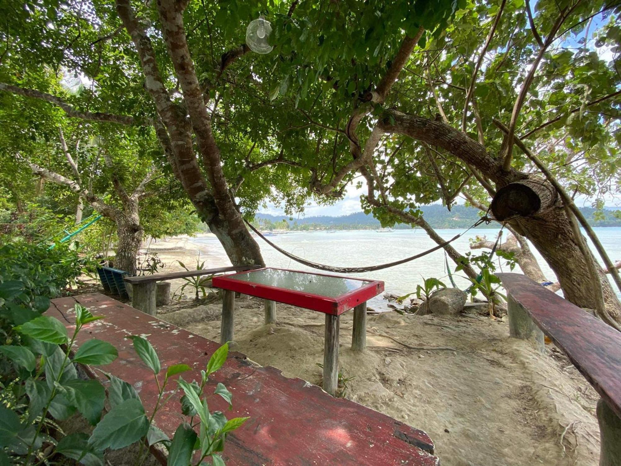 Port Barton - Paradiso Azul Campsite Beachfront With Internet San Vicente  Eksteriør billede