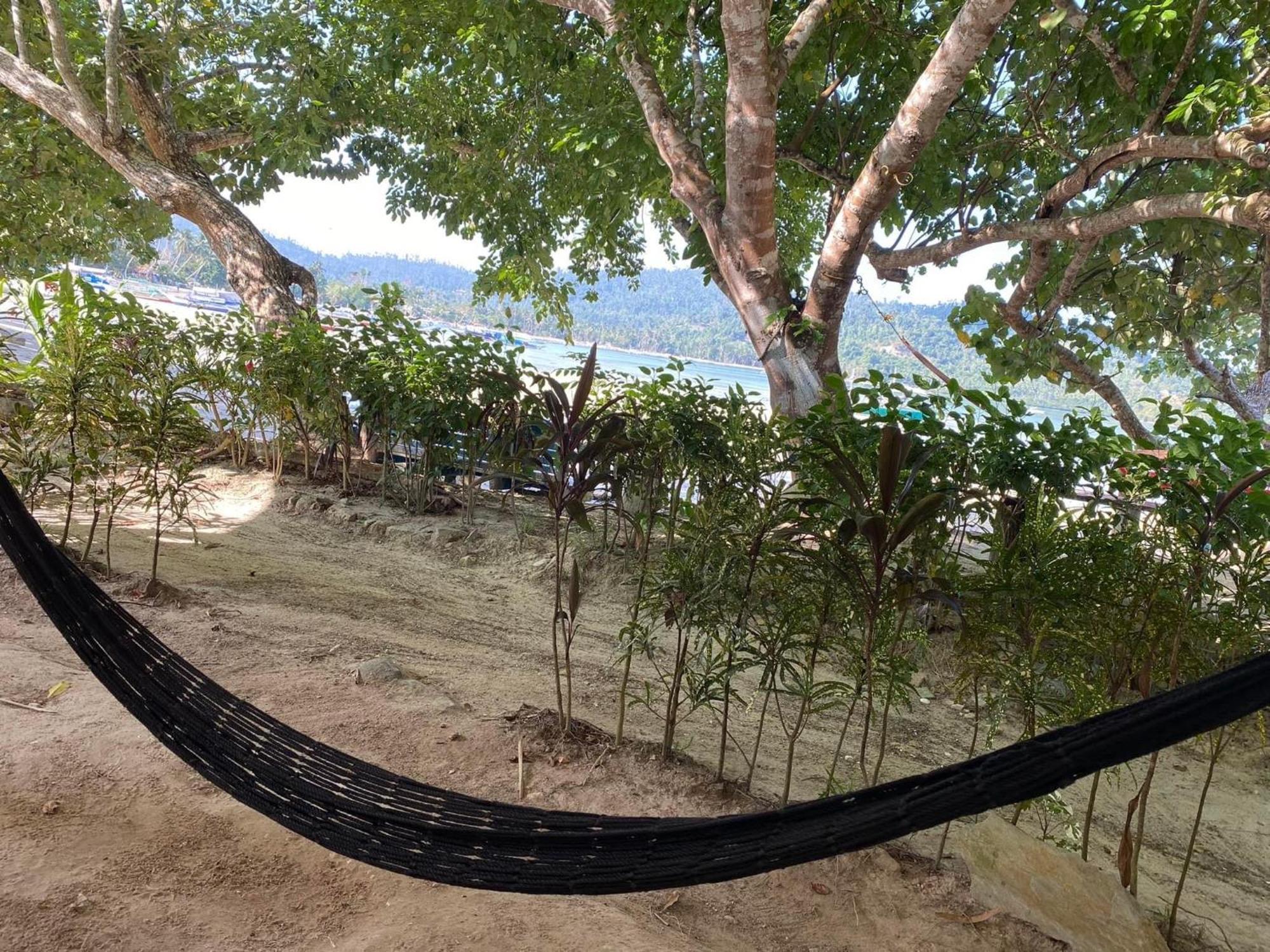 Port Barton - Paradiso Azul Campsite Beachfront With Internet San Vicente  Eksteriør billede