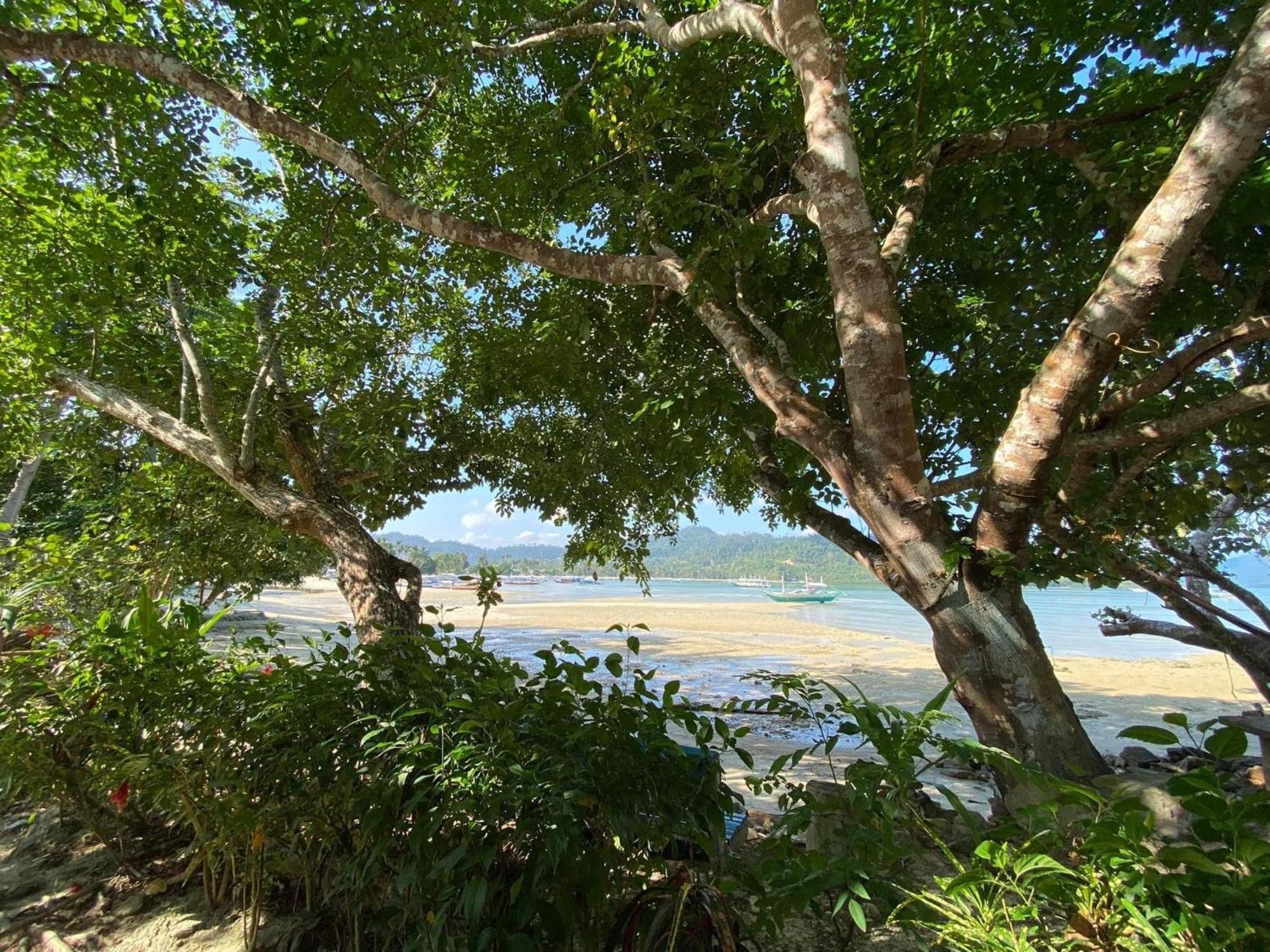 Port Barton - Paradiso Azul Campsite Beachfront With Internet San Vicente  Eksteriør billede