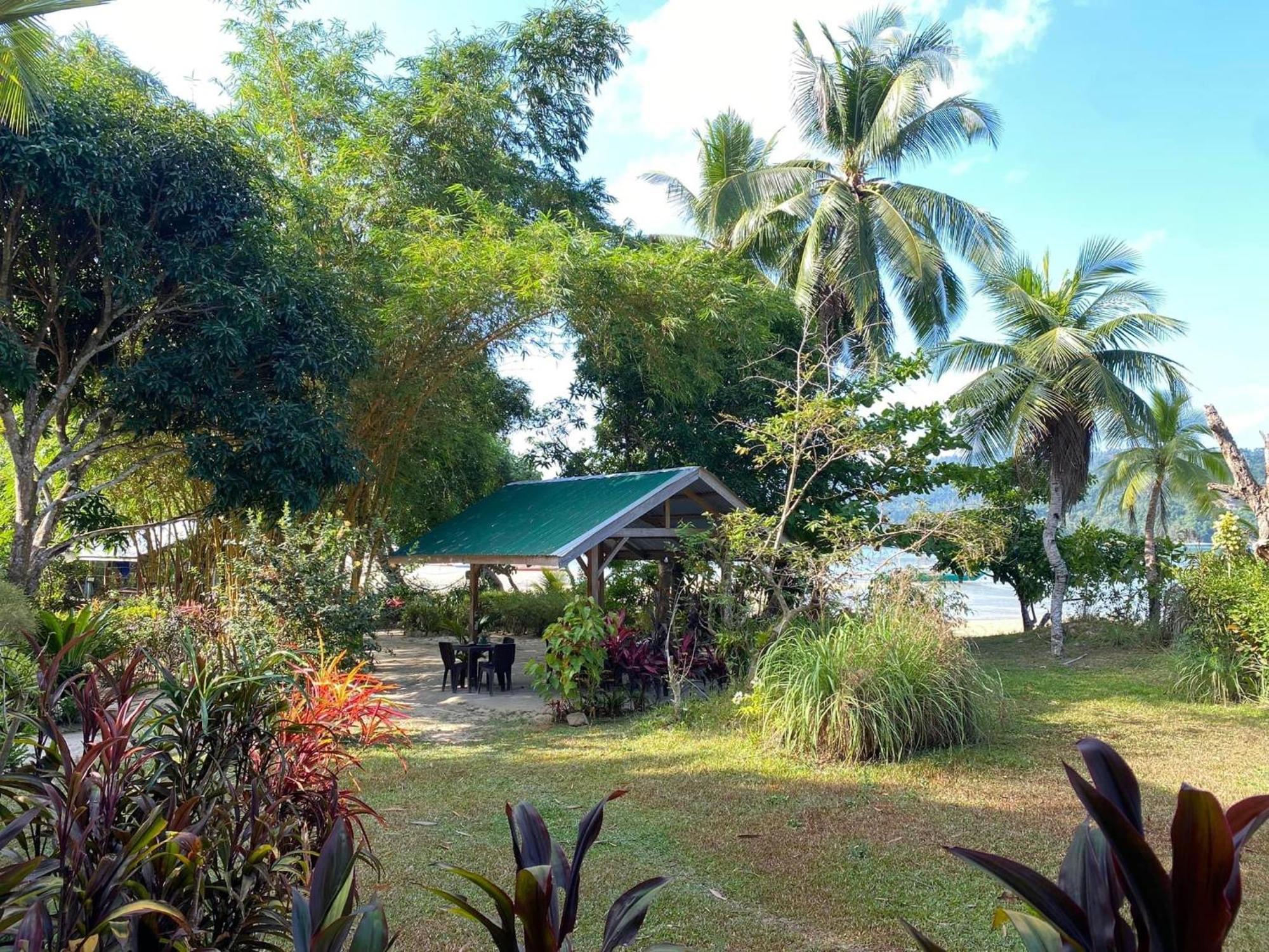 Port Barton - Paradiso Azul Campsite Beachfront With Internet San Vicente  Eksteriør billede